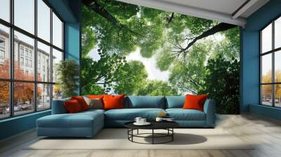 trees in forest from below, green tops of trees, blue sky background Wall mural