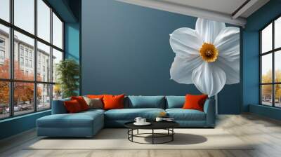 Simplified White Daffodil Flower Silhouette with Textured Cinematic Minimalist Background Wall mural