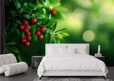 Vibrant red berries contrast beautifully with lush green leaves, creating a serene and natural background perfect for any project. Wall mural