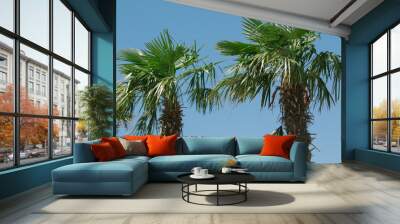 Two tropical palms Wall mural