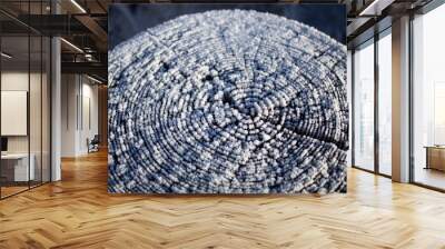 cross section of stumps covered with snowy frost Wall mural