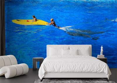 dolphin Wall mural