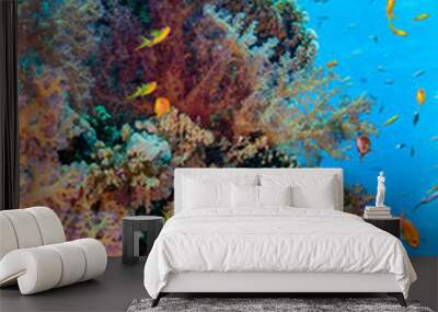 tropical coral reef Wall mural