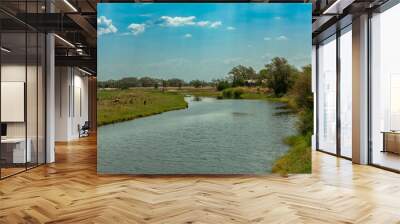 View of the landscape at the Chobe River in Botswana Wall mural