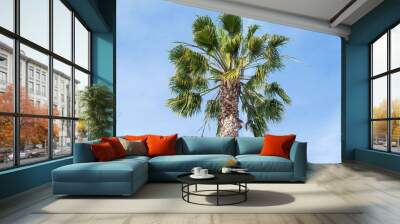 Palm tree with blue sky. Wall mural