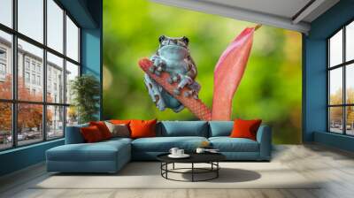 The Mission golden-eyed tree frog or Amazon milk frog (Trachycephalus resinifictrix) is a large species of arboreal frog native to the Amazon Rainforest Wall mural