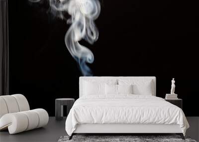 Abstract smoke backgrounds steam of white smoke overlay effect on  black wallpaper Wall mural