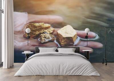 Gold in its origin as gold nuggets in the mine is in the hands of men selective focus. Wall mural