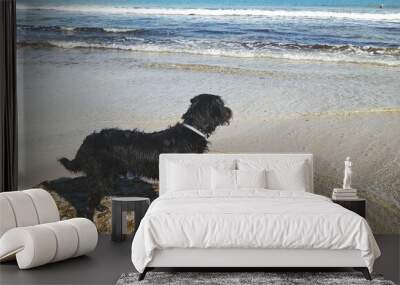 dog on the beach Wall mural