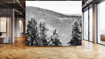 Black white majestic mountains landscape trees and hills Wall mural