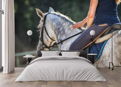 Woman riding a horse on paddock, horsewoman sport wear Wall mural