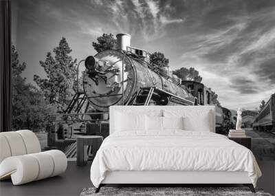 The Old Train in Black and White Wall mural