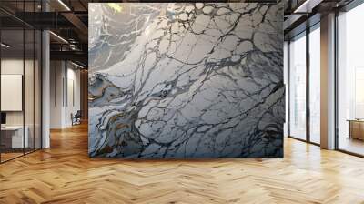 texture of marble Wall mural