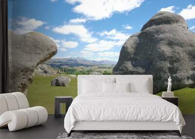 New zealand Elephant Rocks in Waitaki Valle sculptures green gras and blue sky Wall mural