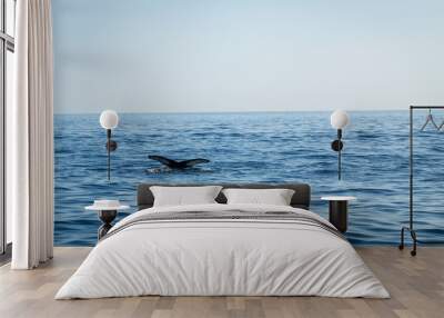 Humpback whale tail in ocean Wall mural