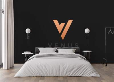 Unique modern geometric creative elegant letter V logo template. Vector icon. Wall mural