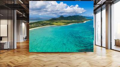 Aerial view of Tropical lagoon of Ishigaki island of Japan Wall mural