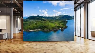 Aerial view of Tropical lagoon of Ishigaki island Wall mural