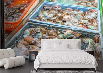 Fresh raw abalone selling in wet market Wall mural