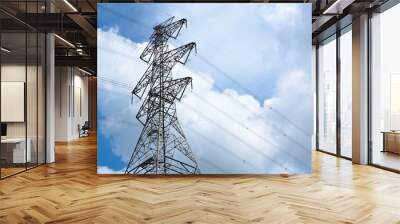 Power Transmission Line Wall mural