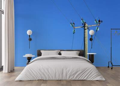 powerline on wooden pillar Wall mural