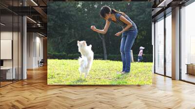 woman train her dog Wall mural