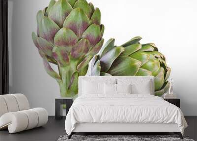 artichoke Wall mural