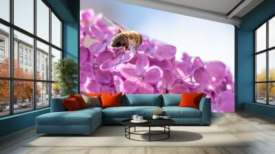 Bee on The Purple Lilac Wall mural