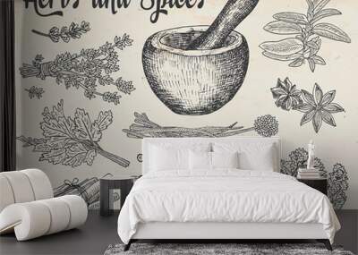 Beautiful hand drawing healthy herbs and spices mortar. Herbs, basil, chervil. Wall mural