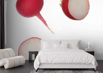 set of garden radish isolated on white Wall mural