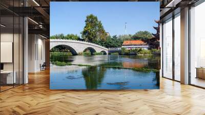 bridge over the river Wall mural