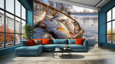 A basket full of fresh fish caught from a frozen lake during the winter. Wall mural