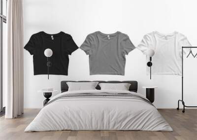 Black, grey and white blank plain crop top T-shirt fashion flats template mockup. 3d rendering. Wall mural