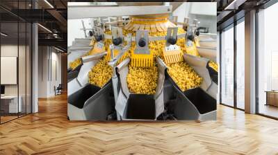 Pasta producing process, various types of pasta on conveyor belt Wall mural