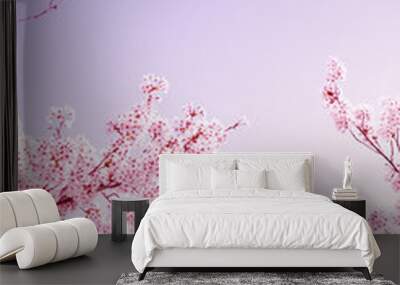 Beautiful spring flower cherry blossoms, Sakura Flower With Beautiful Nature Background Wall mural