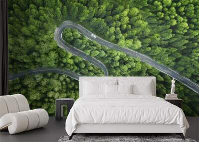 Aerial view of a road in the middle of the forest Wall mural