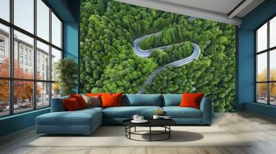 Aerial View of a road on a forest Wall mural