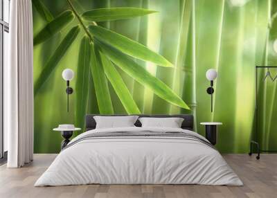 Bamboo forest in the morning,natural background Wall mural