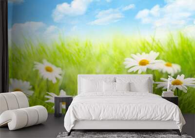 daisy field with blue sky Wall mural