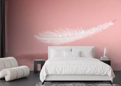 Feather on pink background Wall mural