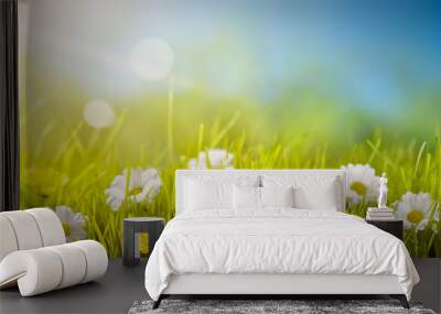 Field of wild flowers Wall mural