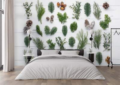 Fir branch and cones Wall mural