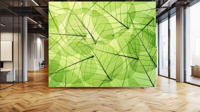 green leaves Wall mural