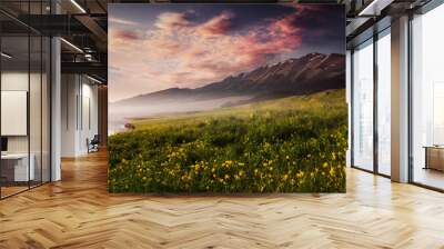 Summer sunrise on Sayram Lake Wall mural