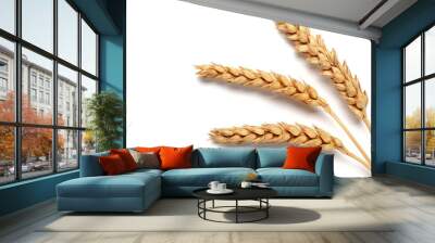 Wheat ears Wall mural