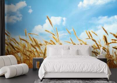 Wheat field Wall mural