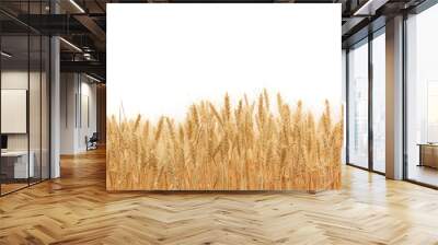 wheat field Wall mural