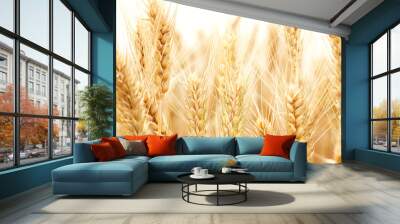 Wheat Wall mural