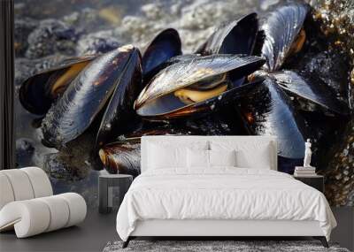 Fresh Mussels in a Shell with a Rustic Background Wall mural