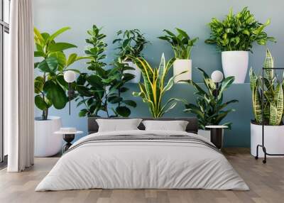 Houseplants Wall mural